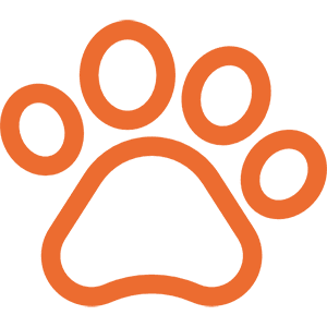 Pets