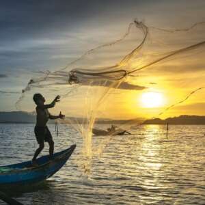 fish, fishermen, fishing net-3062034.jpg